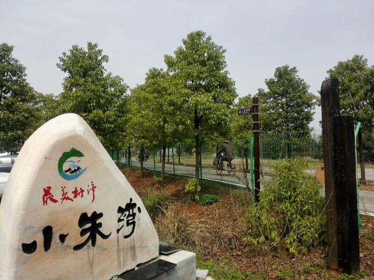 江夏区五里界街童周岭村小朱湾现场教学