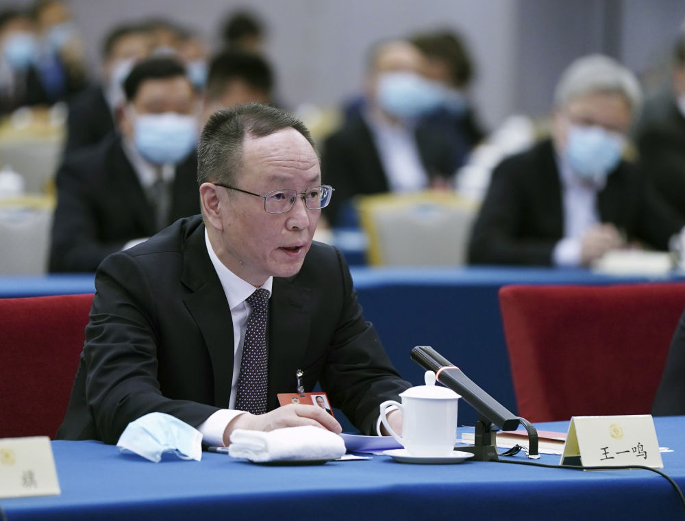 5月23日，全国政协委员王一鸣在经济界联组会上发言。新华社记者　谢环驰　摄